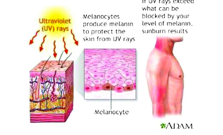 ဆောင်းပါး