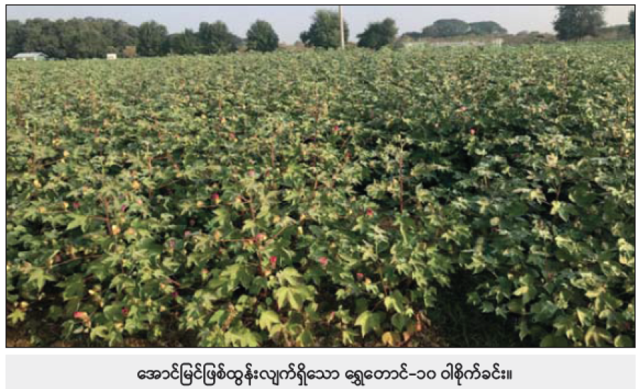 ဆောင်းပါး