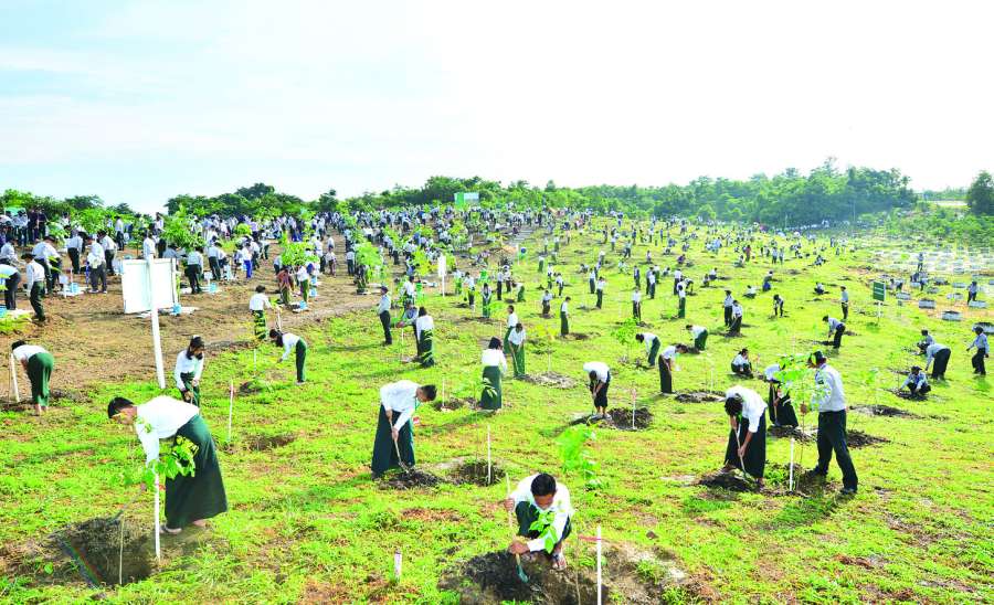 ဆောင်းပါး