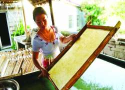 ဆောင်းပါး