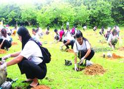 ဆောင်းပါး