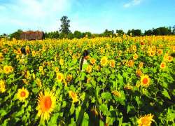 အနာဂတ်စားရေရိက္ခာဖူလုံဖို့ လက်တွဲဆောင်ရွက်ကြပါစို့