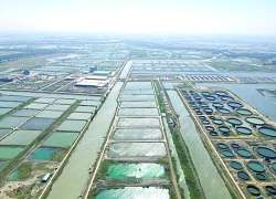 ပို့ကုန်နှစ်ဆတိုးမြှင့်ဖို့ တန်ဖိုးမြင့်ရေထွက်ကုန်များ တိုးထုတ်စို့