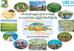 ကမ္ဘာ့ပတ်ဝန်းကျင်