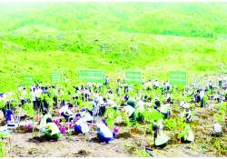 စိုက်ပျိုးပြီးသစ်ပင်ရေရှည်တည်တံ့စေဖို့ ဝိုင်းဝန်းထိန်းသိမ်းစောင့်ရှောက်စို့