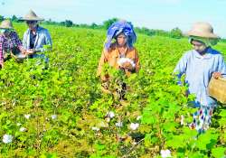 ဆောင်းပါး