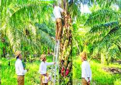 ဆောင်းပါး