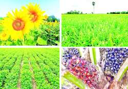 ဆောင်းပါး
