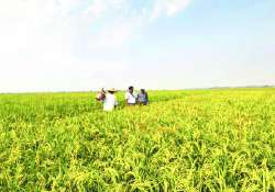 ဆောင်းပါး