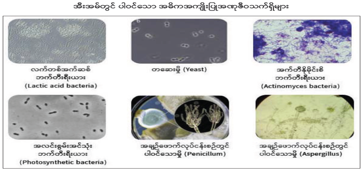 ဆောင်းပါး